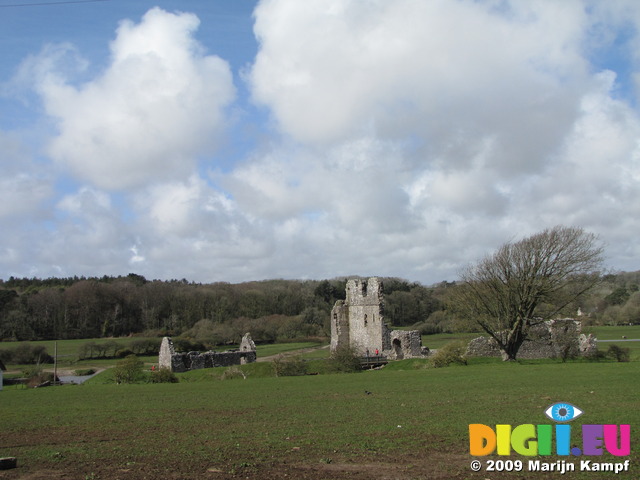 SX03598 Ogmore Castle in spring